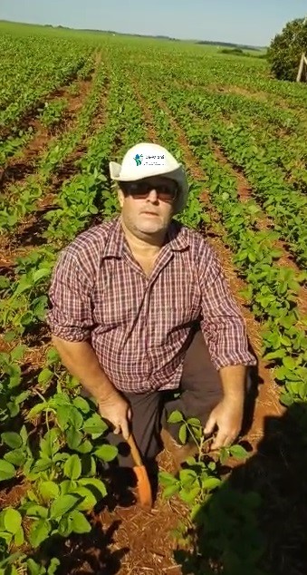 Produtor de Peabiru se destaca na produção sustentável de soja: quatro safras sem inseticida e uma sem fungicida.