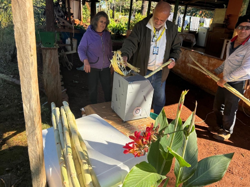 Programa Renda Agricultor Familiar fortalece produção e gera novas oportunidades no campo em Campina da Lagoa.