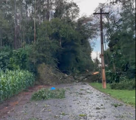 Temporal provoca estragos em Marechal.