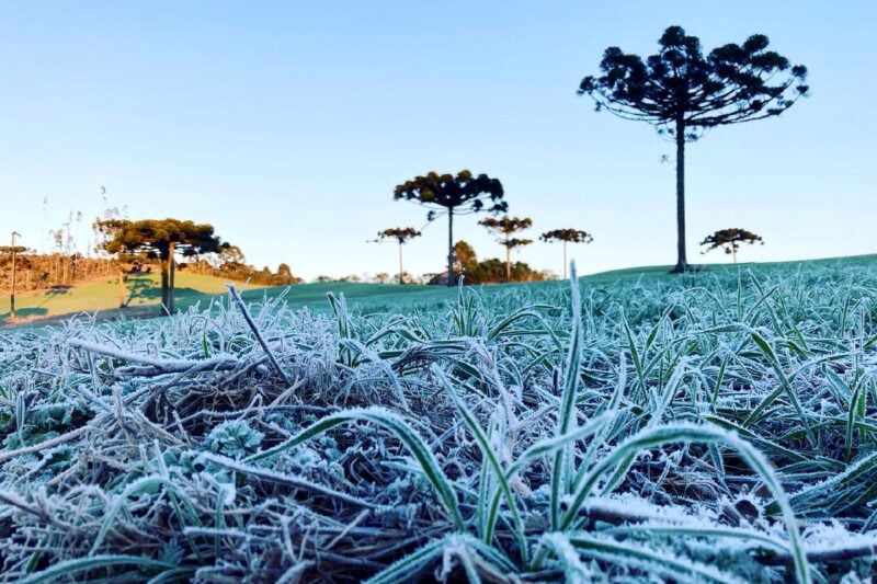 Simepar indica frio rigoroso no fim de semana, com temperaturas negativas no Sul do Estado.