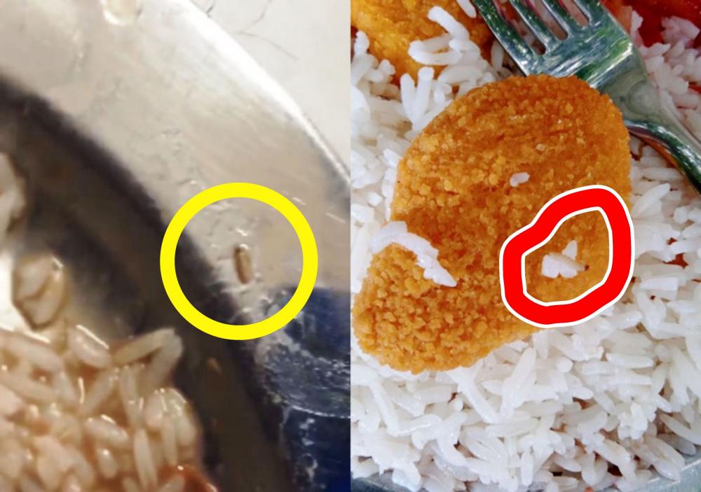 Alunos encontram larvas dentro de arroz de merenda em colégio estadual.