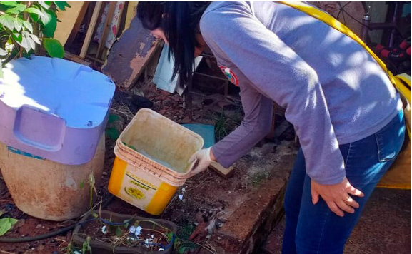 Campo Mourão enfrenta epidemia de dengue e decreta calamidade. Região acumula 2.192 casos.