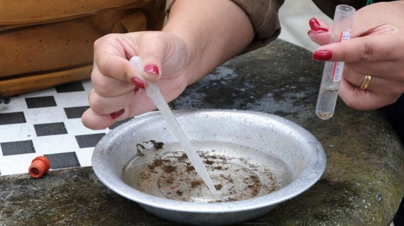 Campo Mourão tem alto risco de infestação de dengue: 9,72%.