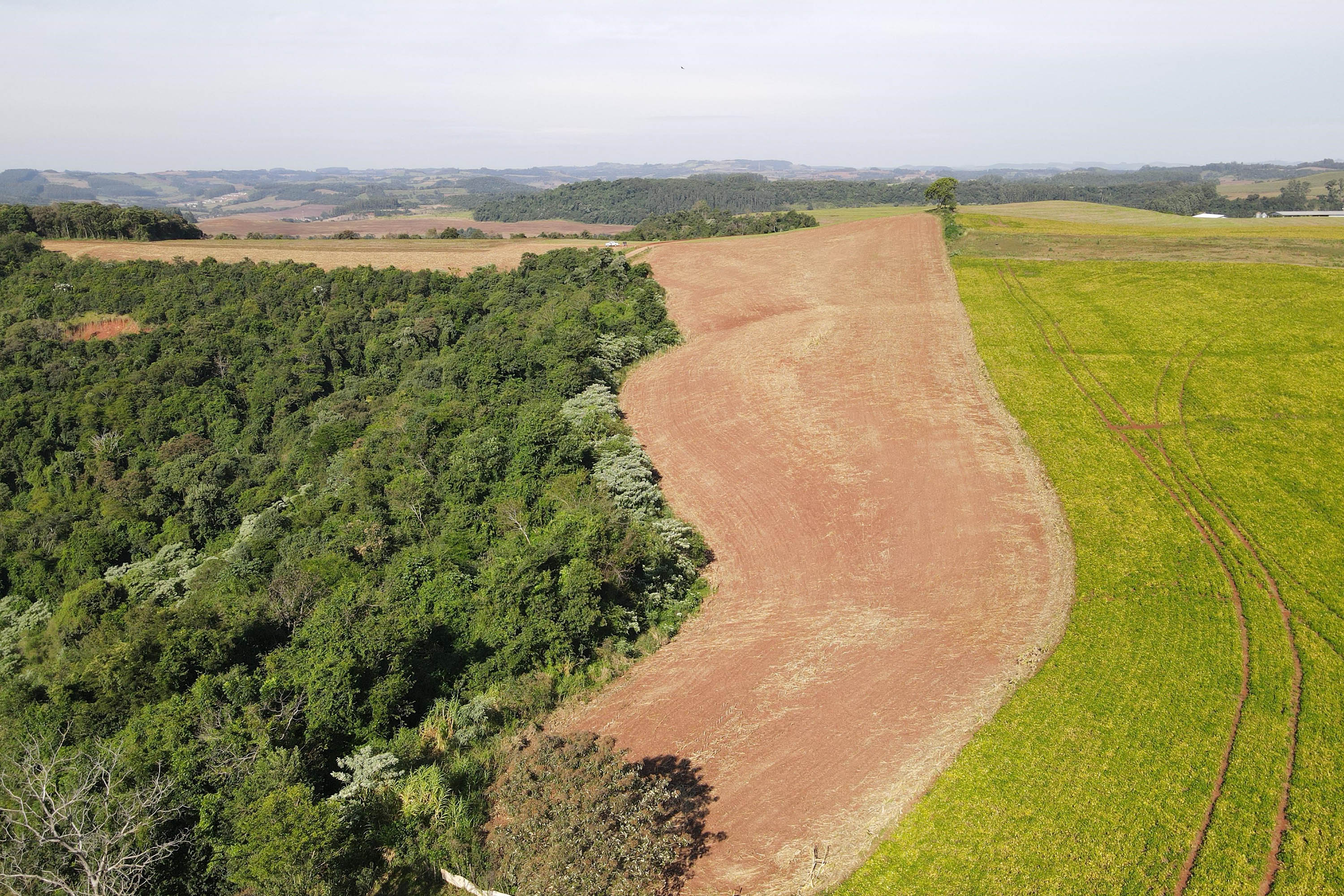 Ação contra desmatamento ilegal no Sudoeste resulta em R$ 2,8 milhões em multas