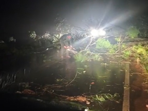 Moradores voltam a cortar árvore para liberar tráfego na PR-364.