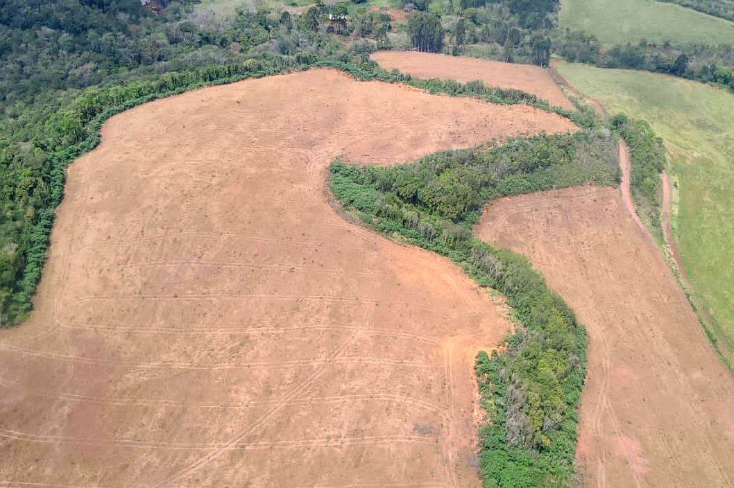 Com apoio do IAT, Operação Mata Atlântica em Pé aplica mais de R$ 28 milhões em multas.