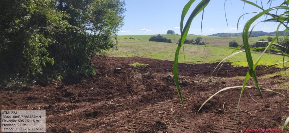 Nova Cantu: Polícia Ambiental multa proprietário em R$ 21 mil e embarga área.
