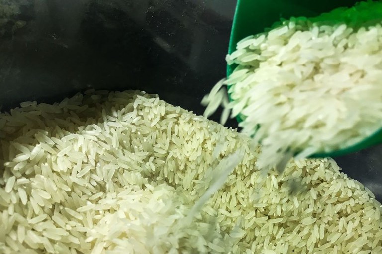 Governo Federal zera tarifa de importação de arroz para garantir abastecimento.