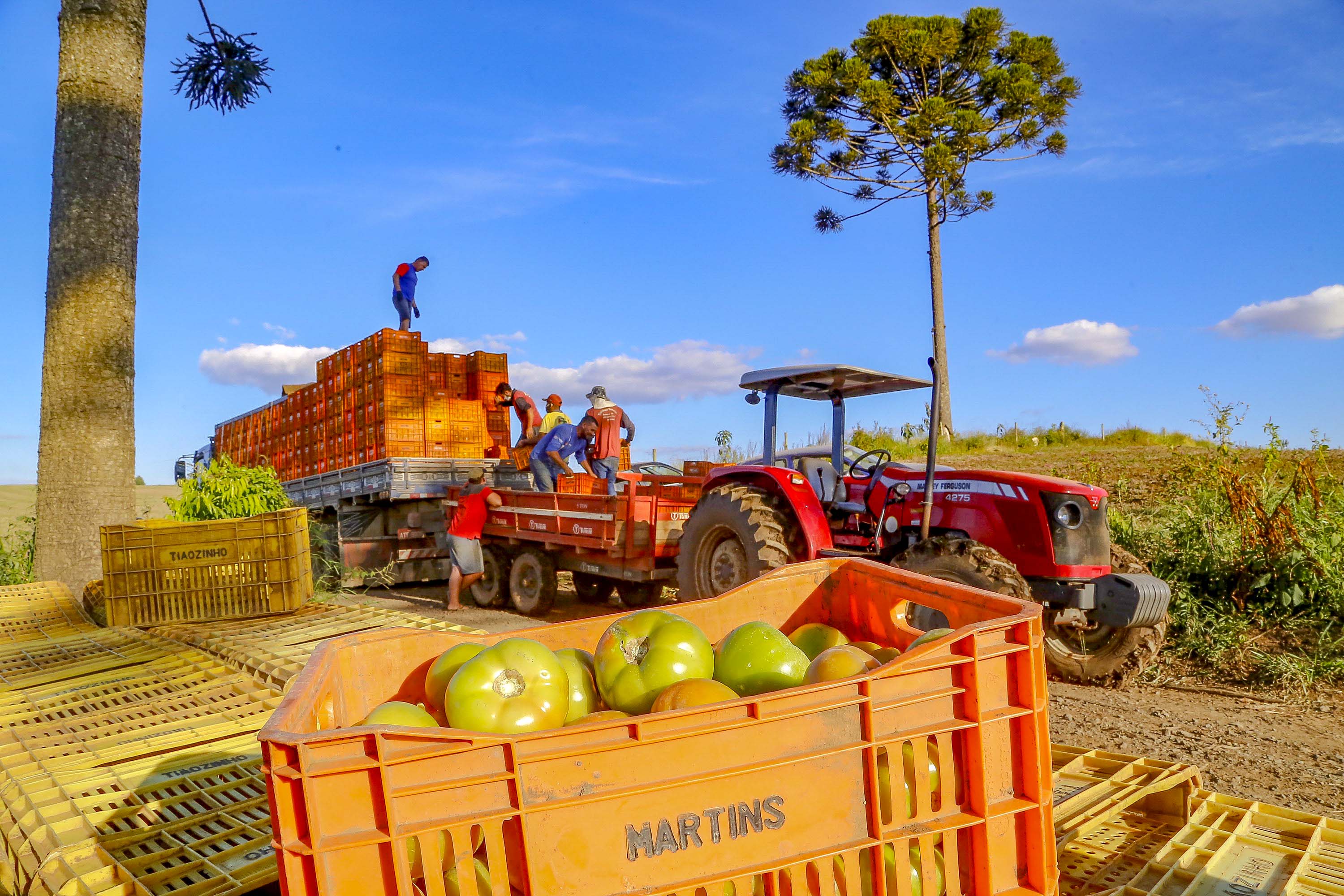 Preços de alimentos e bebidas tiveram queda de 1,29% em julho no Paraná.